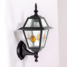 Настенный фонарь уличный FARO lead GLASS 91101/04 lgY Bl