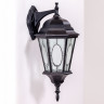 Настенный фонарь уличный ASTORIA 2M 91402M Bl овал