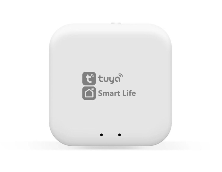 Wi-Fi конвертер Track System GL1920