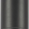 Потолочный светильник уличный Bar O306CL-L12GF
