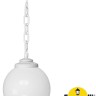 Уличный светильник подвесной GLOBE 300 G30.120.000.WYF1R