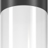 Потолочный светильник уличный Willis O418CL-01B