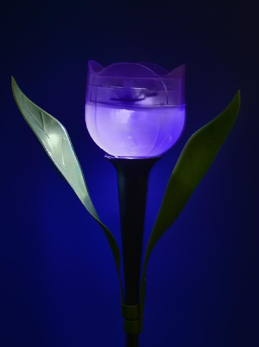 Грунтовый светильник  USL-C-453/PT305 PURPLE TULIP
