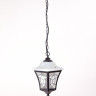 Уличный светильник подвесной VENECIA 2L 91805L Bl