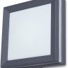 Настенный светильник уличный SIDNEY LED W3342 Gr