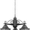 Уличный светильник подвесной PETERSBURG ECONOM 79870E/3 Bl